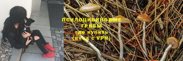 a pvp Бронницы